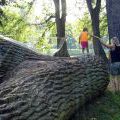 130803_WooDoo2013_34