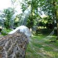 130803_WooDoo2013_35