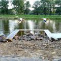 130803_WooDoo2013_51