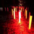 130803_WooDoo2013_78