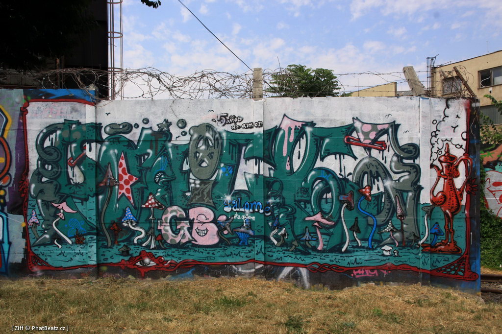 130804_Smeral_42