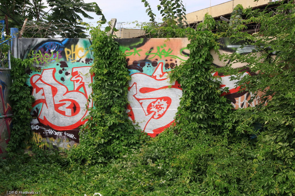 130804_Smeral_44