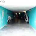 130809_HolesPodchod_01
