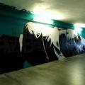130809_HolesPodchod_11