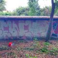 130810_Strasnice_07