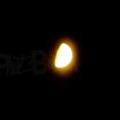 130815_PragoDzban_54