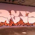 130818_Antverpy_16