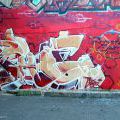 131112_OC_Slunecnice_01