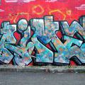131112_OC_Slunecnice_02