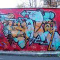 131112_OC_Slunecnice_04
