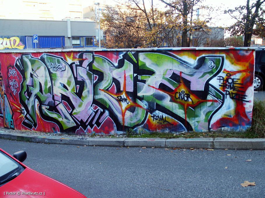 131112_OC_Slunecnice_05