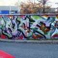 131112_OC_Slunecnice_05