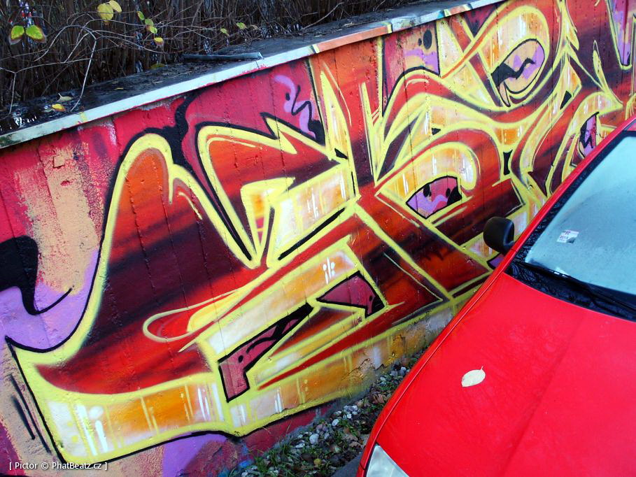 131112_OC_Slunecnice_06