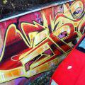 131112_OC_Slunecnice_06