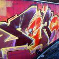 131112_OC_Slunecnice_07