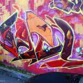 131112_OC_Slunecnice_10