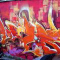 131112_OC_Slunecnice_11