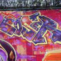 131112_OC_Slunecnice_12