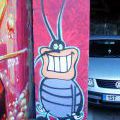 131112_OC_Slunecnice_16