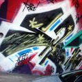 131112_OC_Slunecnice_18