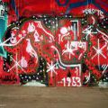 131112_OC_Slunecnice_20