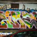 131112_OC_Slunecnice_21