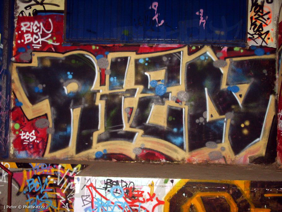 131112_OC_Slunecnice_22