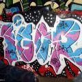 131112_OC_Slunecnice_23