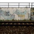 131121_Palmovka_049