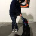131205_Trafo7_22