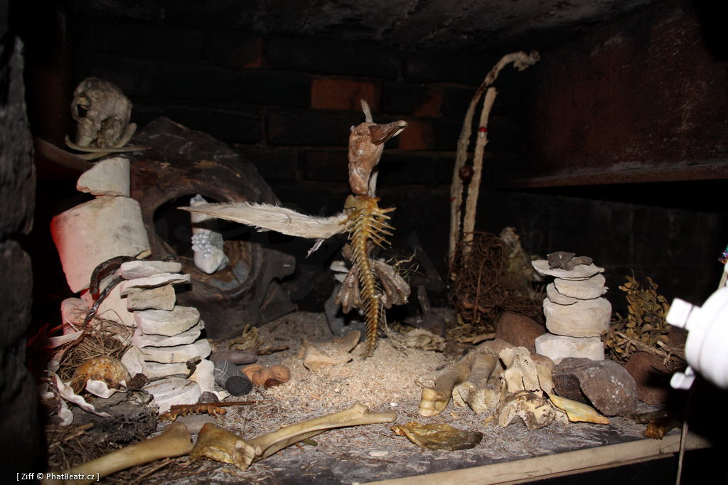 131205_Trafo7_37