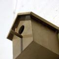 131205_Trafo7_48