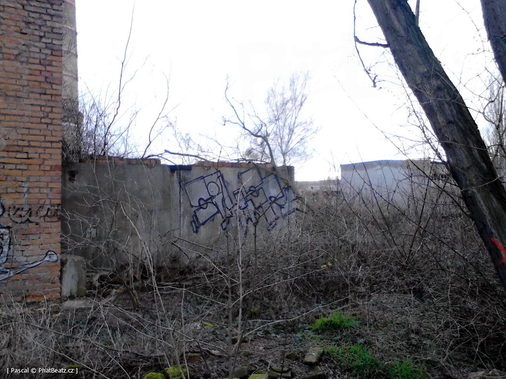 131229_Milovice_19