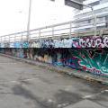 131231_Tesnov_15
