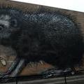 13_Londyn_52