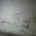 140313_NizsiNapeti_11