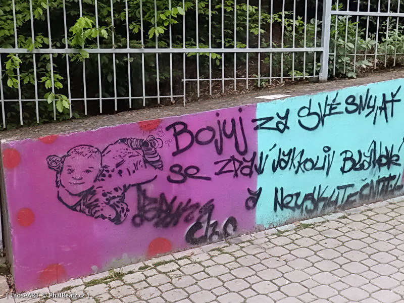 140503_SpojovaciLouny_15