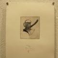 140507_LUSTR_75