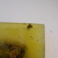 140515_Openmindz_34
