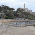 1405_Izrael_graffiti_39