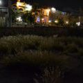 1405_Izrael_graffiti_50