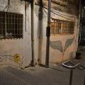 1405_Izrael_graffiti_58