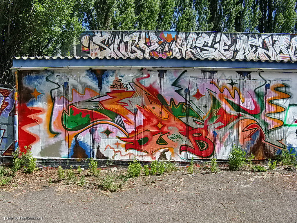 140615_Celakovice_02