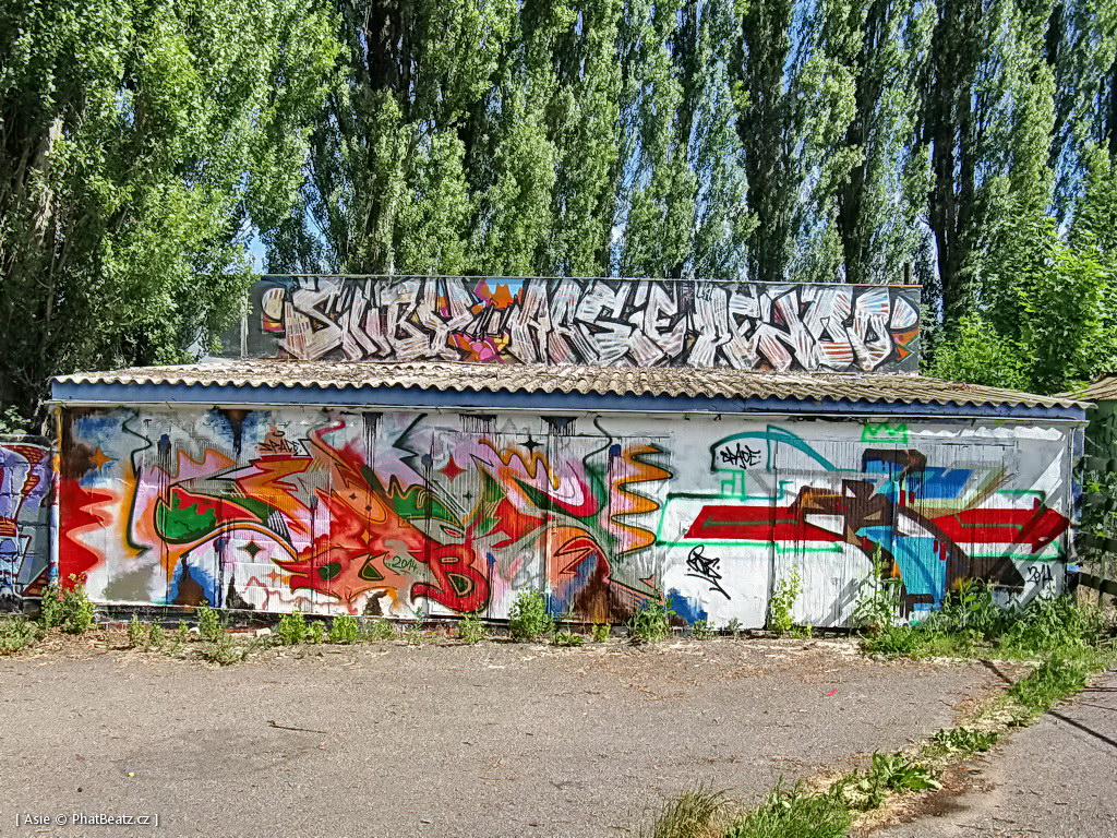 140615_Celakovice_04