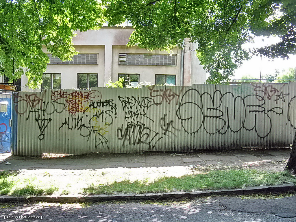 140615_Celakovice_14