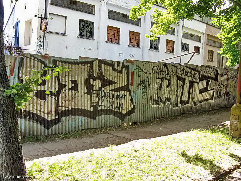 140615_Celakovice_16