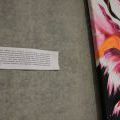 140708_Zezulka_065