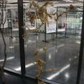 140708_Zezulka_094