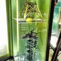 140709_NTM_205