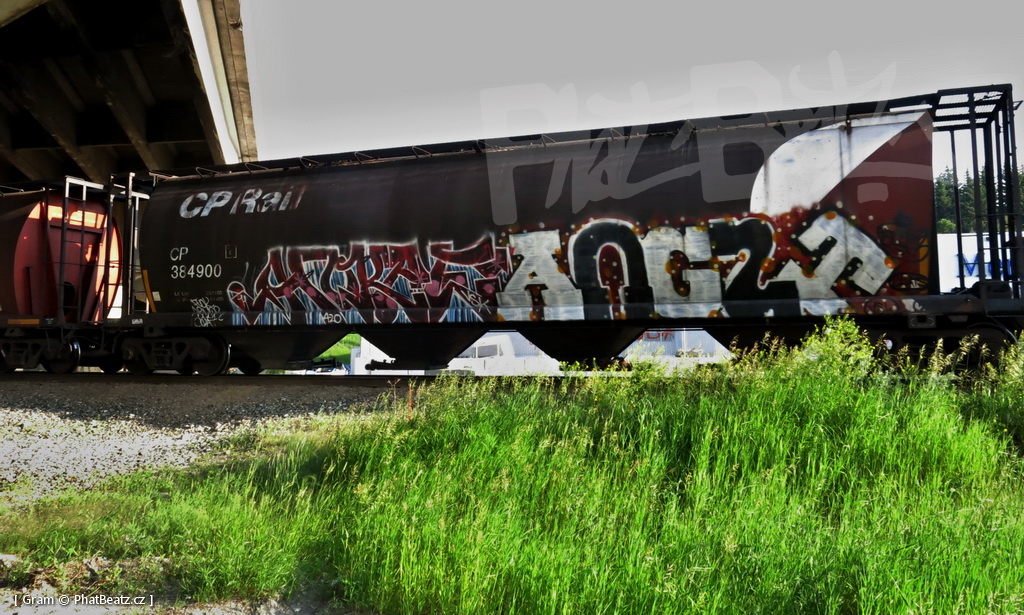 1407_KanadaTrains_091